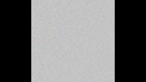 Brenda online show from February 19, 12:33 pm