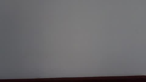 DemiDee online show from November 6, 9:48 am