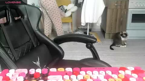 Alis online show from February 27, 8:03 am