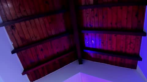 Hanna Botero online show from March 21, 7:19 pm