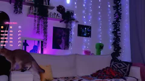 Lolly online show from December 21, 10:19 am