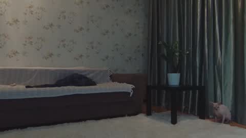 _mary_chili online show from November 21, 11:51 pm