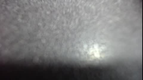 sol online show from April 2, 2:58 pm