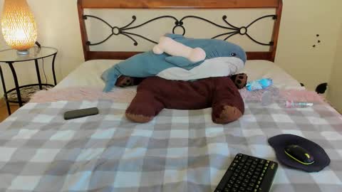 Adel online show from October 25, 2:30 am