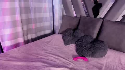 Stormi online show from October 28, 9:41 pm