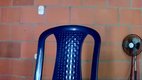 aisha koswell3 online show from January 12, 2:11 pm