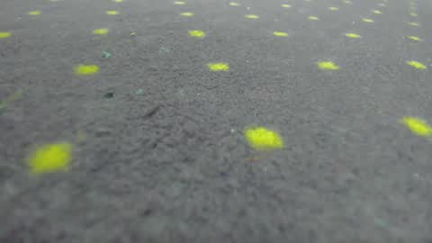 Aisha online show from March 22, 8:20 am