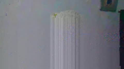 Snapshot of aleka_williams_ chatting on October 20, 11:30 pm aleka_williams_ online show from October 20, 11:30 pm