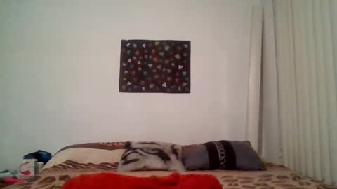 Snapshot of alessandraconrado chatting on February 23, 8:44 am Alessandra Conrado online show from February 23, 8:44 am