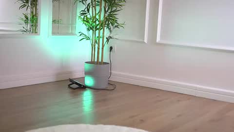 alexxiskye online show from January 16, 6:31 am