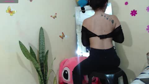 Amatist Wild 3 online show from November 9, 12:56 pm