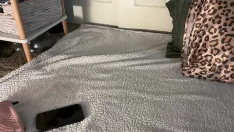 amiraszakiye online show from April 4, 6:01 am