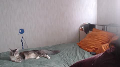 Snapshot of ankey_rayah chatting on March 8, 2:10 am Nameless online show from March 8, 2:10 am