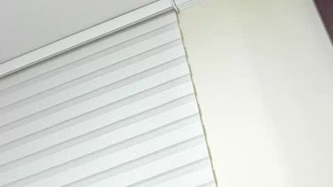       online show from March 25, 12:16 am