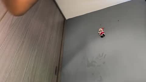 A N G E L online show from September 17, 7:01 pm