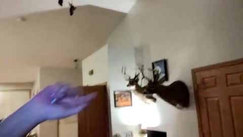 Aphrodite60 online show from November 27, 2:03 am