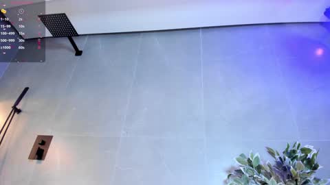 Ari  online show from December 6, 11:44 am