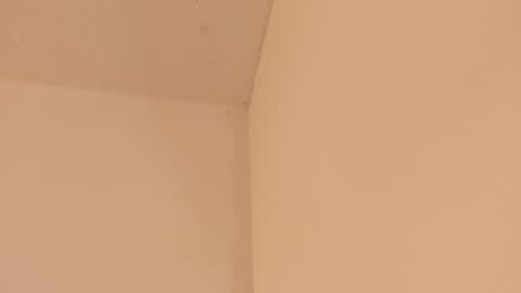 Soy Ash online show from February 26, 2:27 pm