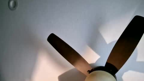 Babeb online show from November 18, 5:19 am