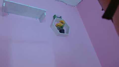 bella_gentle online show from November 12, 12:58 pm