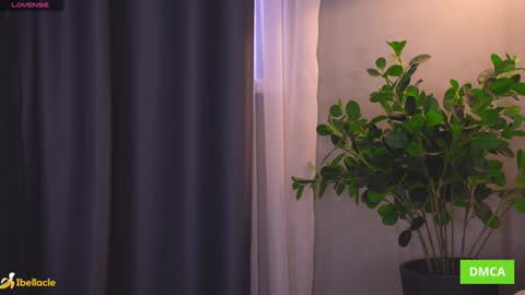 Bella I took a vacation and Ill be back on December 18th So dont lose me To keep in touch I have a TG -  you can find below online show from March 4, 7:48 am