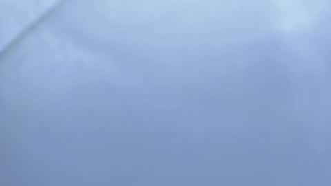 Betty online show from November 6, 2:01 pm