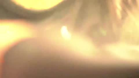 FLORAA online show from March 10, 6:16 am