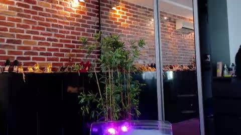 boobzilla_ online show from May 27, 5:04 am