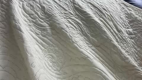 brancademel online show from March 11, 12:48 am