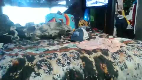 breezworld online show from November 19, 5:02 pm