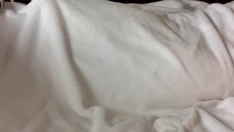 bribabyyy93 online show from November 3, 5:28 pm