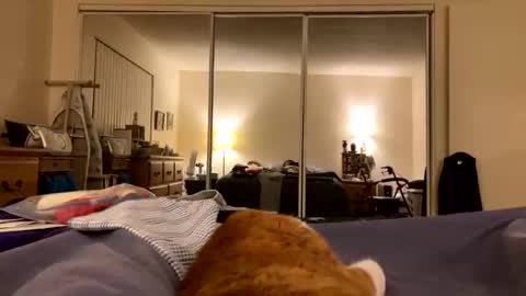 busty_2008 online show from February 24, 3:05 am