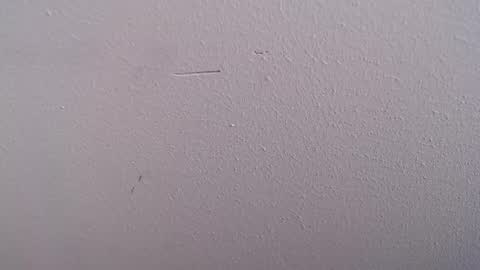 camila_torresss online show from February 3, 7:07 pm