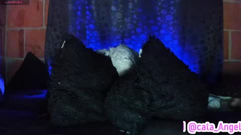 Cata Angel online show from April 13, 12:23 am