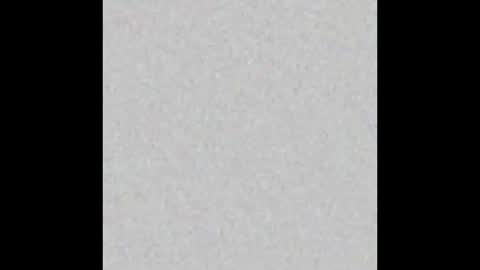 Charlotte online show from March 12, 2:56 pm