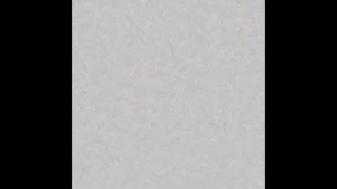 Charlotte online show from February 13, 3:46 pm