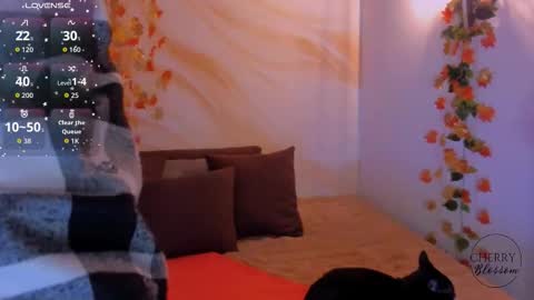 cherryblossomm1 online show from October 30, 1:41 am