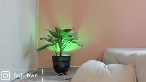 Sofia OF    online show from January 25, 6:54 pm