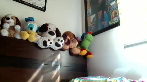 clair_of online show from June 23, 8:29 pm
