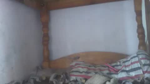 Snapshot of couleur_vanille chatting on February 25, 6:58 am couleur_vanille online show from February 25, 6:58 am
