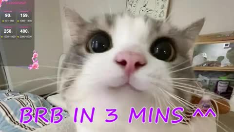 Sonya online show from November 30, 12:48 am