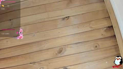 Cristal online show from January 9, 4:06 am