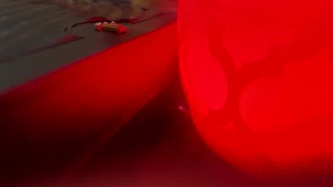 im KIM new girl to spoil online show from February 18, 2:27 pm