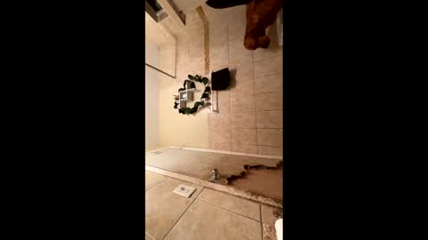 loveolots online show from January 9, 12:25 am