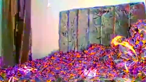 Zia online show from November 17, 11:16 pm