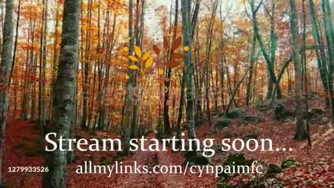 Cynpai online show from November 10, 4:40 am