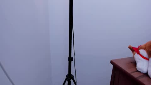 darling online show from March 4, 6:47 am