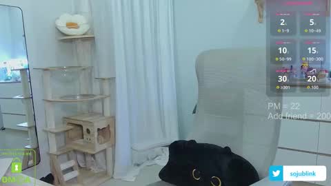 Snapshot of daisybean chatting on September 8, 3:33 pm Daisy online show from September 8, 3:33 pm