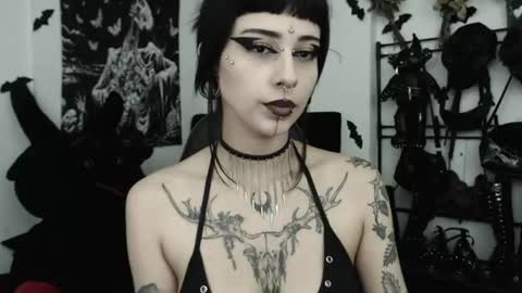 dakota online show from July 4, 2:29 am