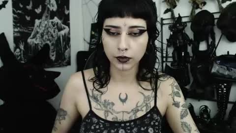 dakota online show from August 7, 3:24 am